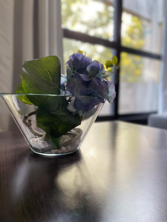 לון Dg Apartment - Le Relais Du Lac, Proche Disneyland Paris מראה חיצוני תמונה